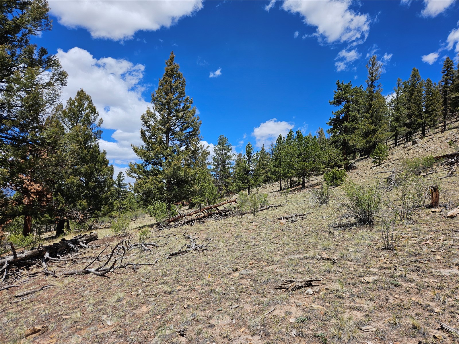 Lot 395 Bonell Drive Fairplay CO 80440