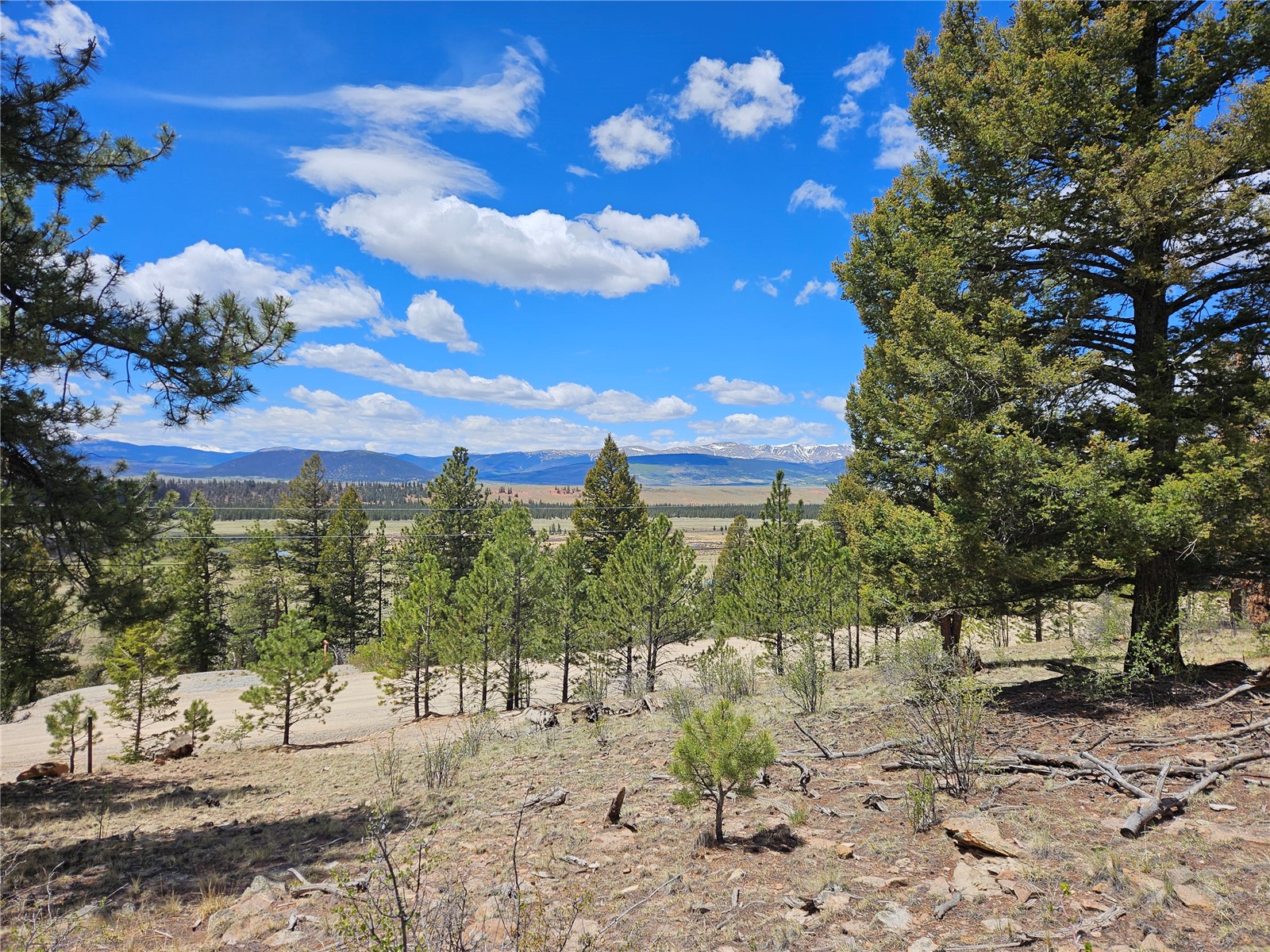 Lot 395 Bonell Drive Fairplay CO 80440