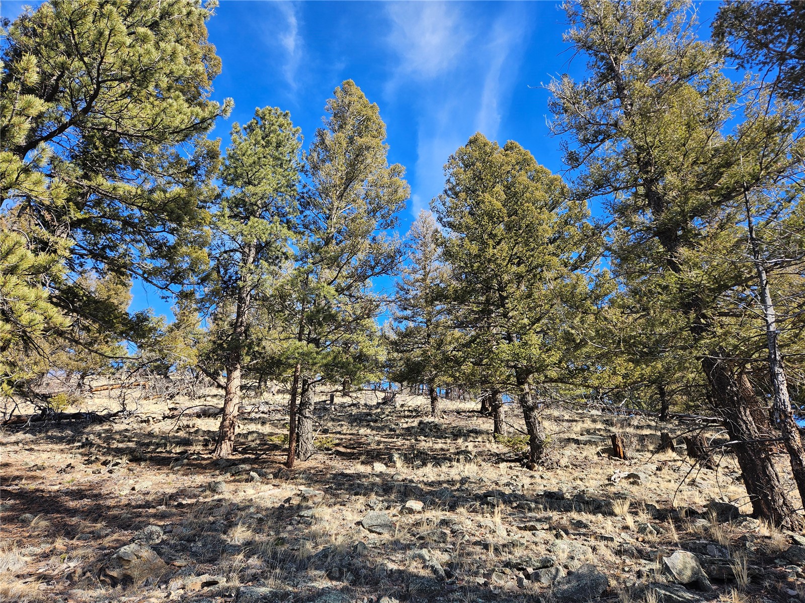 Lot 395 Bonell Drive Fairplay CO 80440