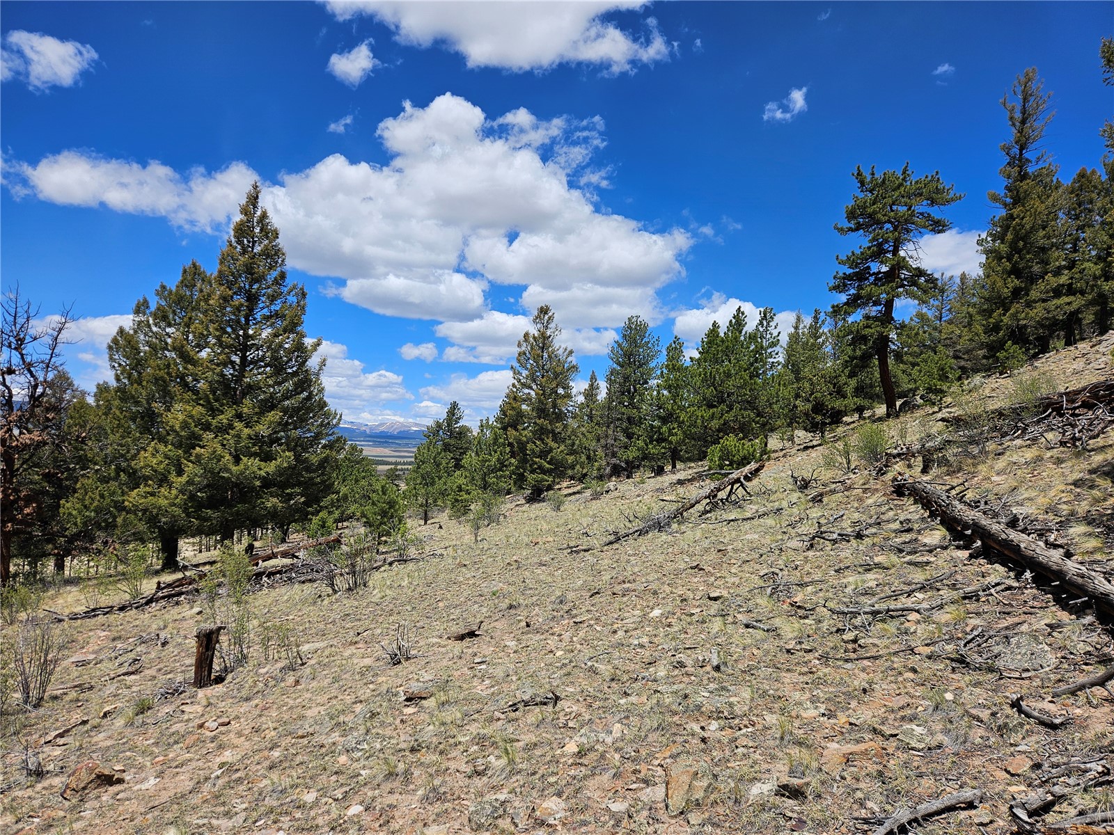 Lot 395 Bonell Drive Fairplay CO 80440