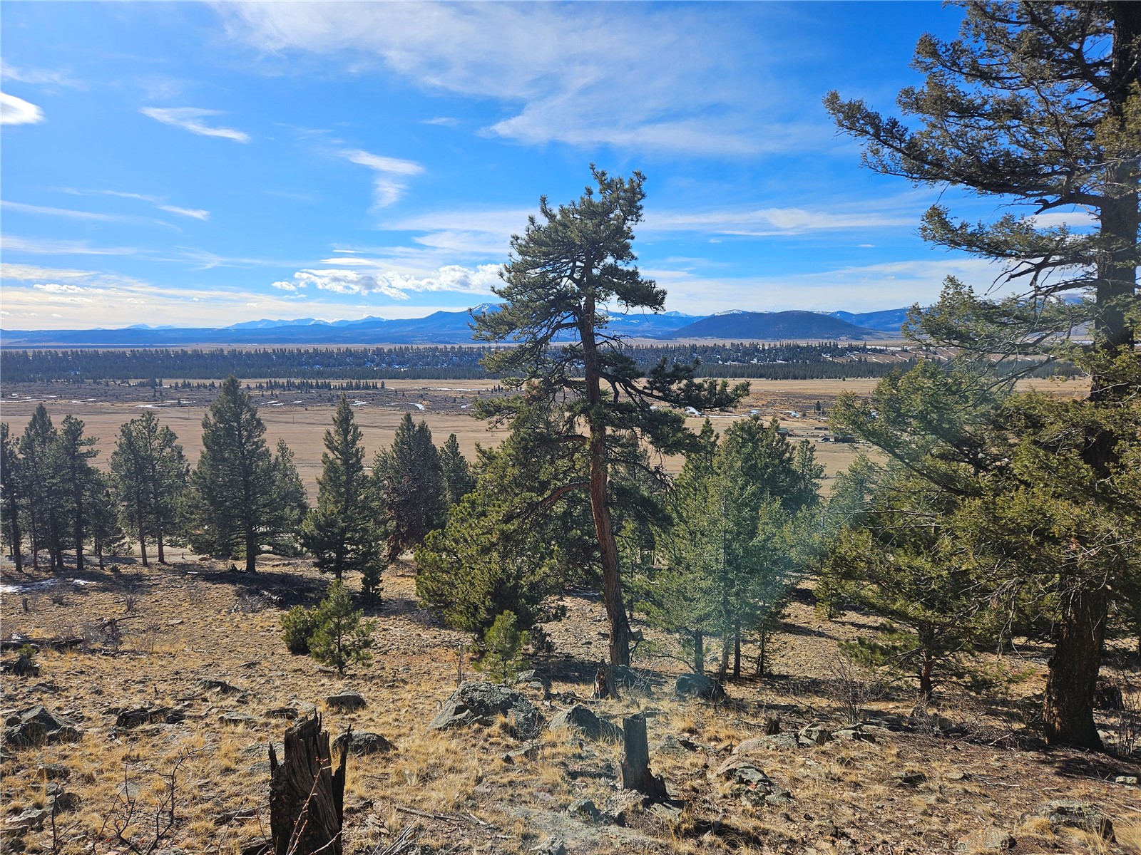 Lot 395 Bonell Drive Fairplay CO 80440