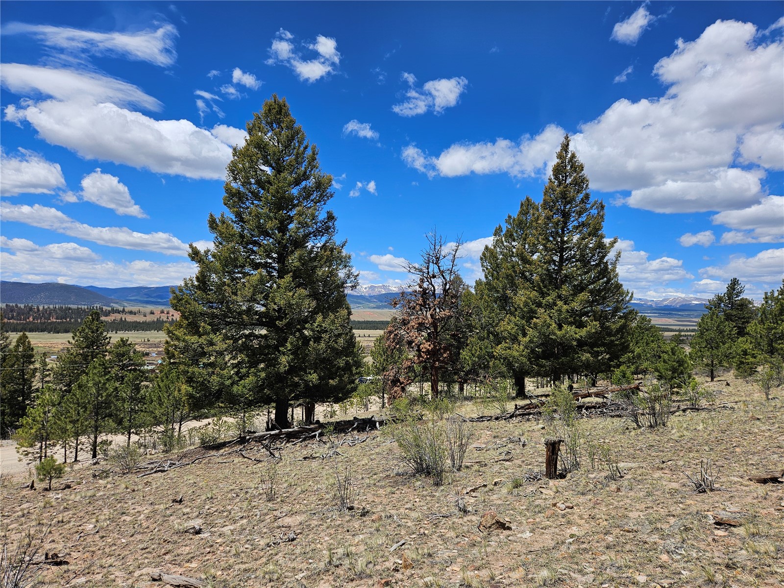 Lot 395 Bonell Drive Fairplay CO 80440
