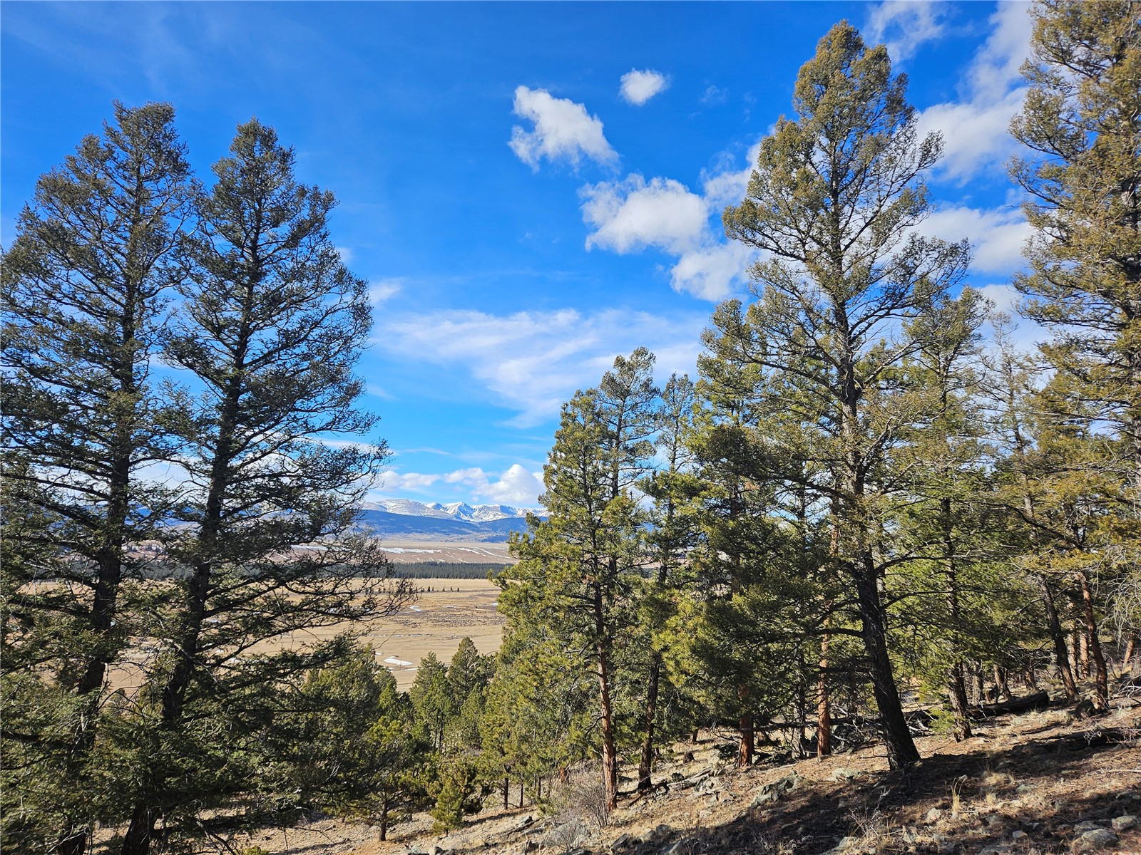 Lot 395 Bonell Drive Fairplay CO 80440