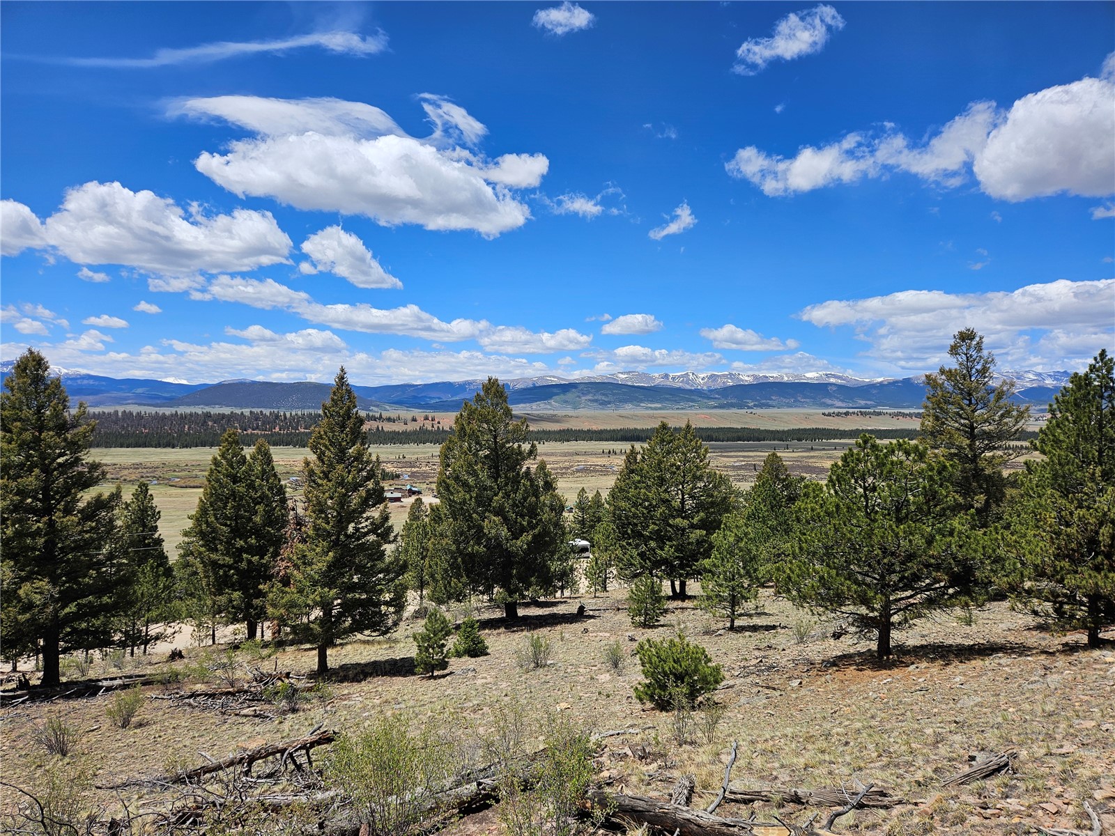 Lot 395 Bonell Drive Fairplay CO 80440