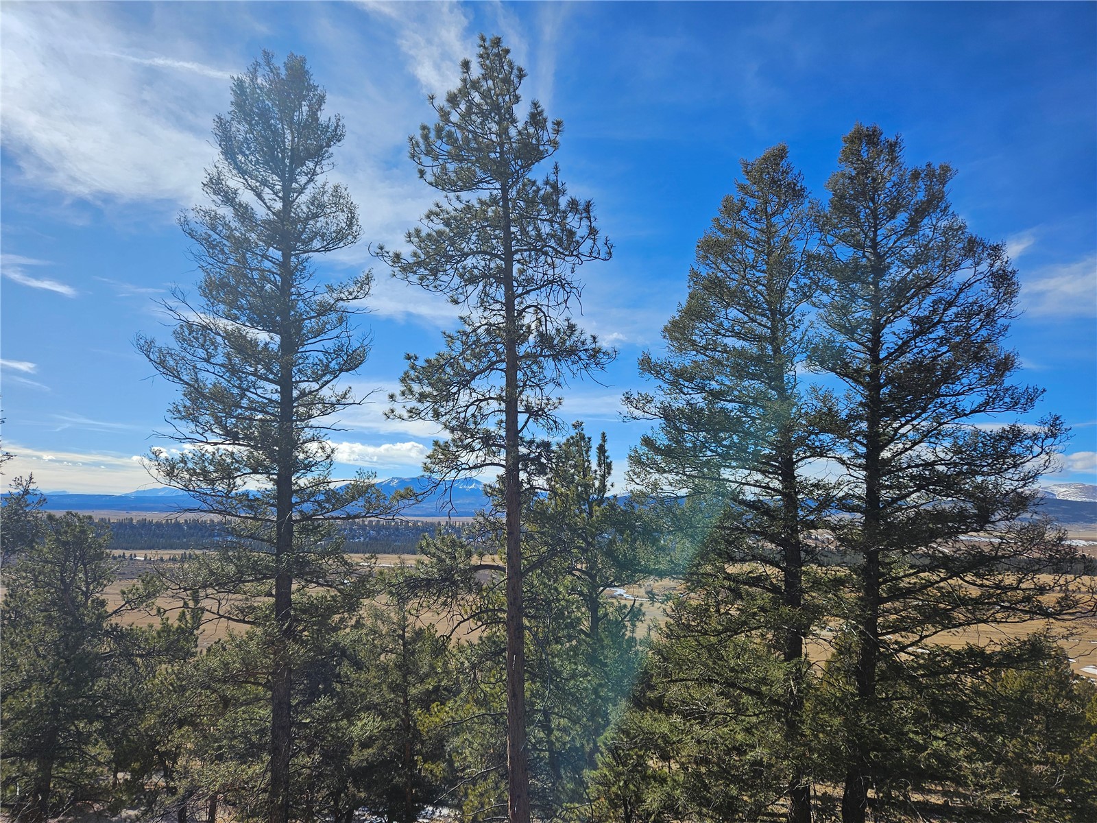 Lot 395 Bonell Drive Fairplay CO 80440