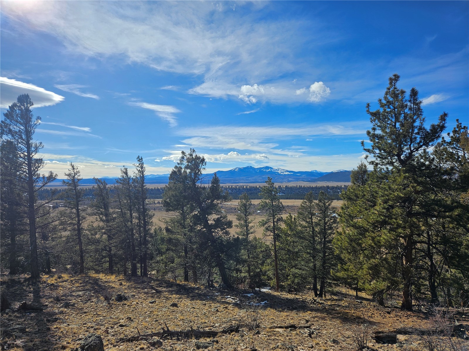Lot 395 Bonell Drive Fairplay CO 80440