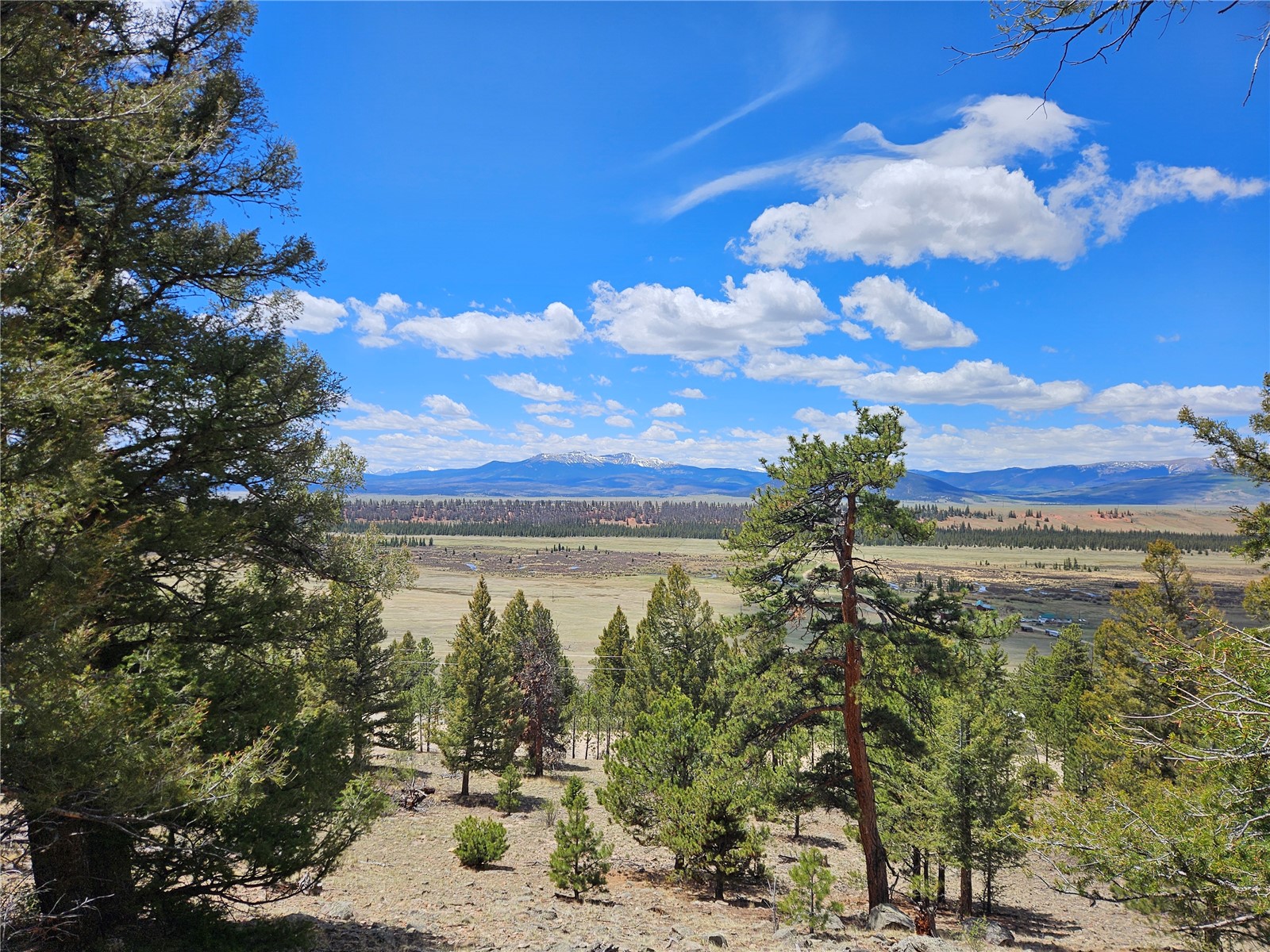 Lot 395 Bonell Drive Fairplay CO 80440