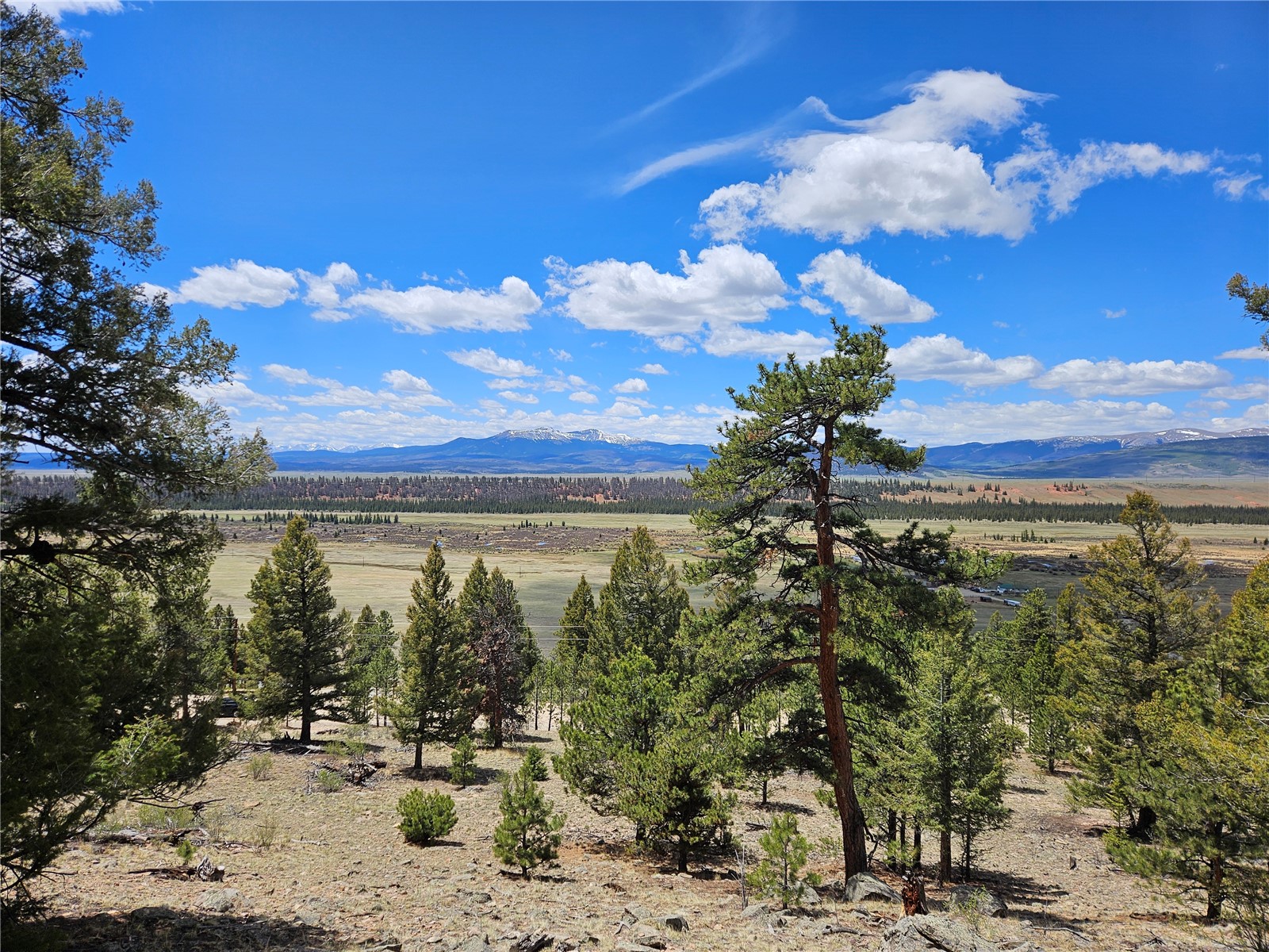 Lot 395 Bonell Drive Fairplay CO 80440