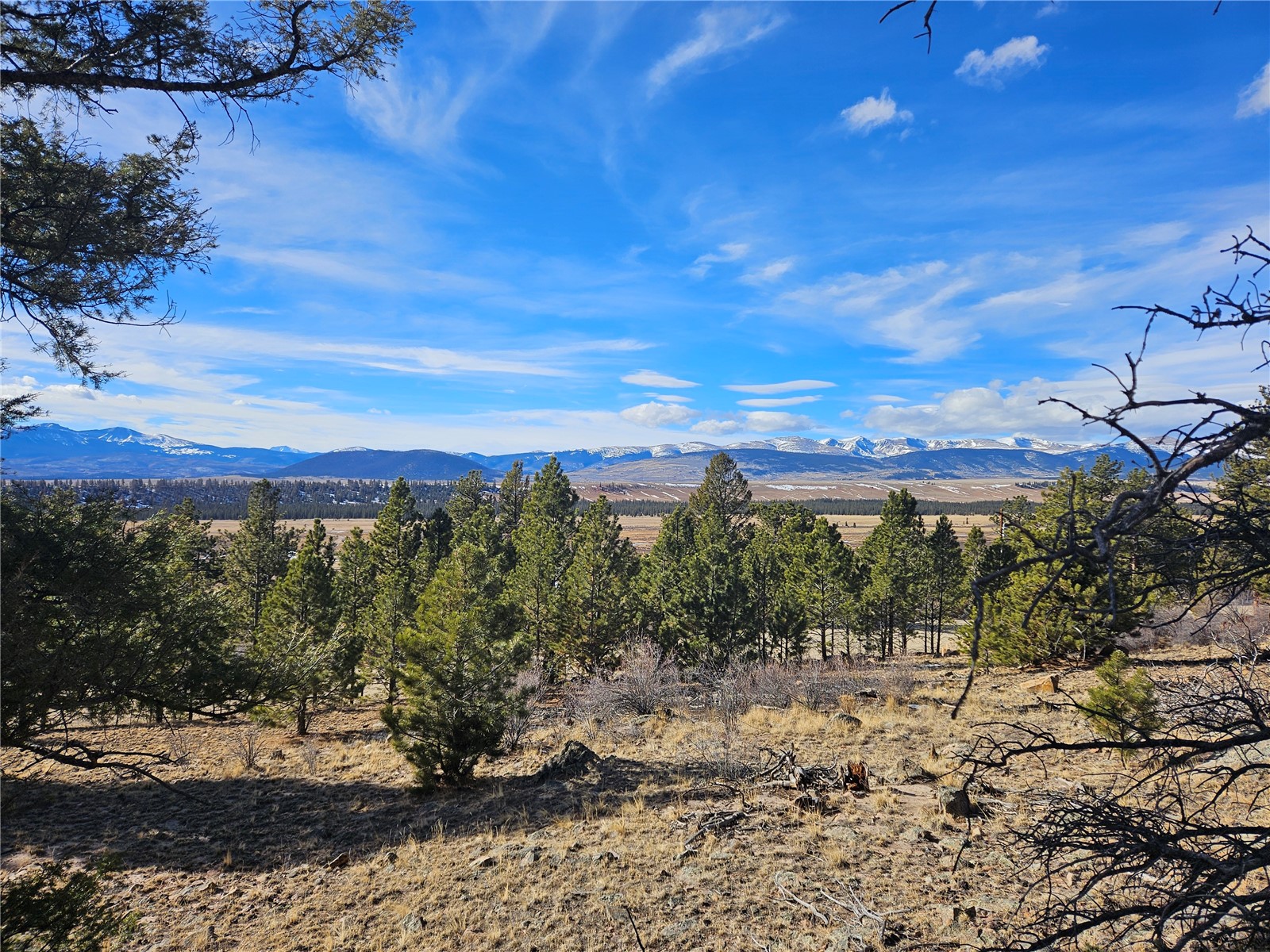 Lot 395 Bonell Drive Fairplay CO 80440