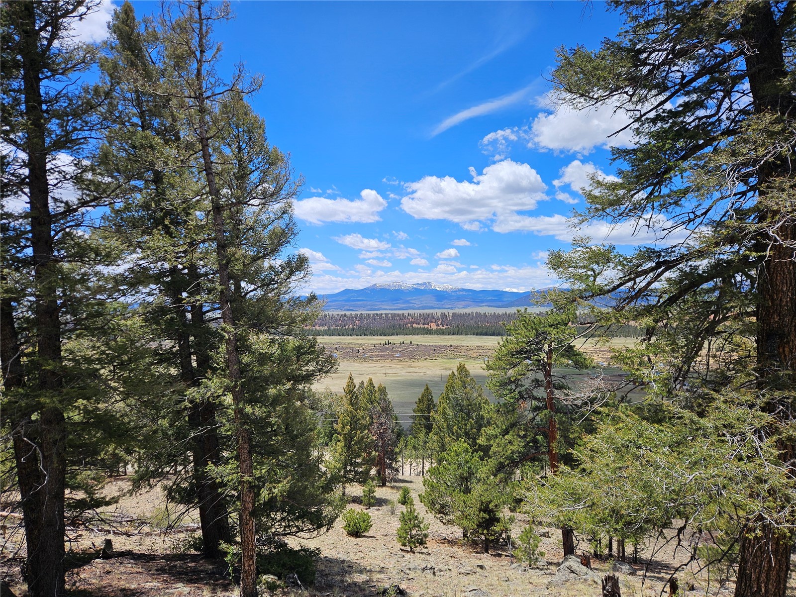 Lot 395 Bonell Drive Fairplay CO 80440