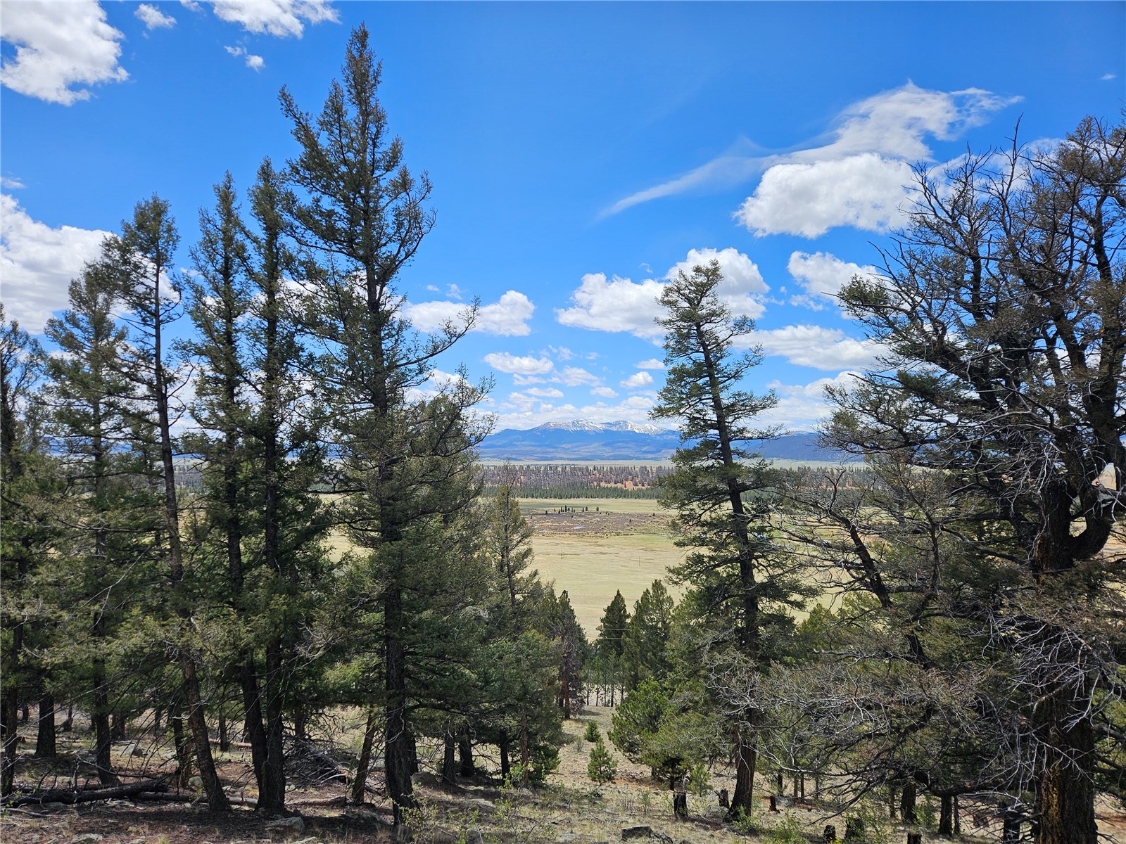 Lot 395 Bonell Drive Fairplay CO 80440
