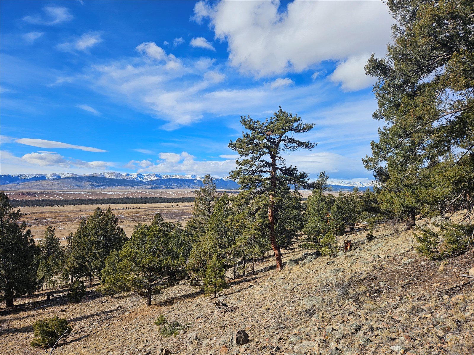 Lot 395 Bonell Drive Fairplay CO 80440