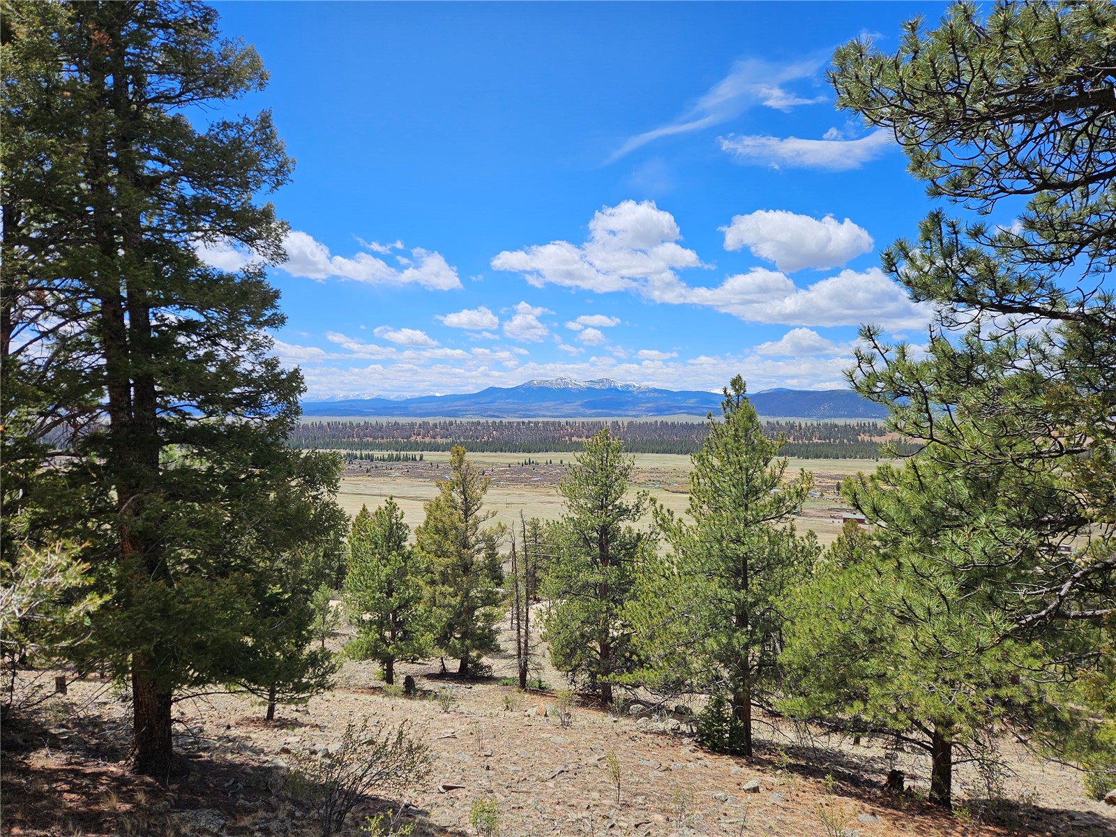 Lot 395 Bonell Drive Fairplay CO 80440