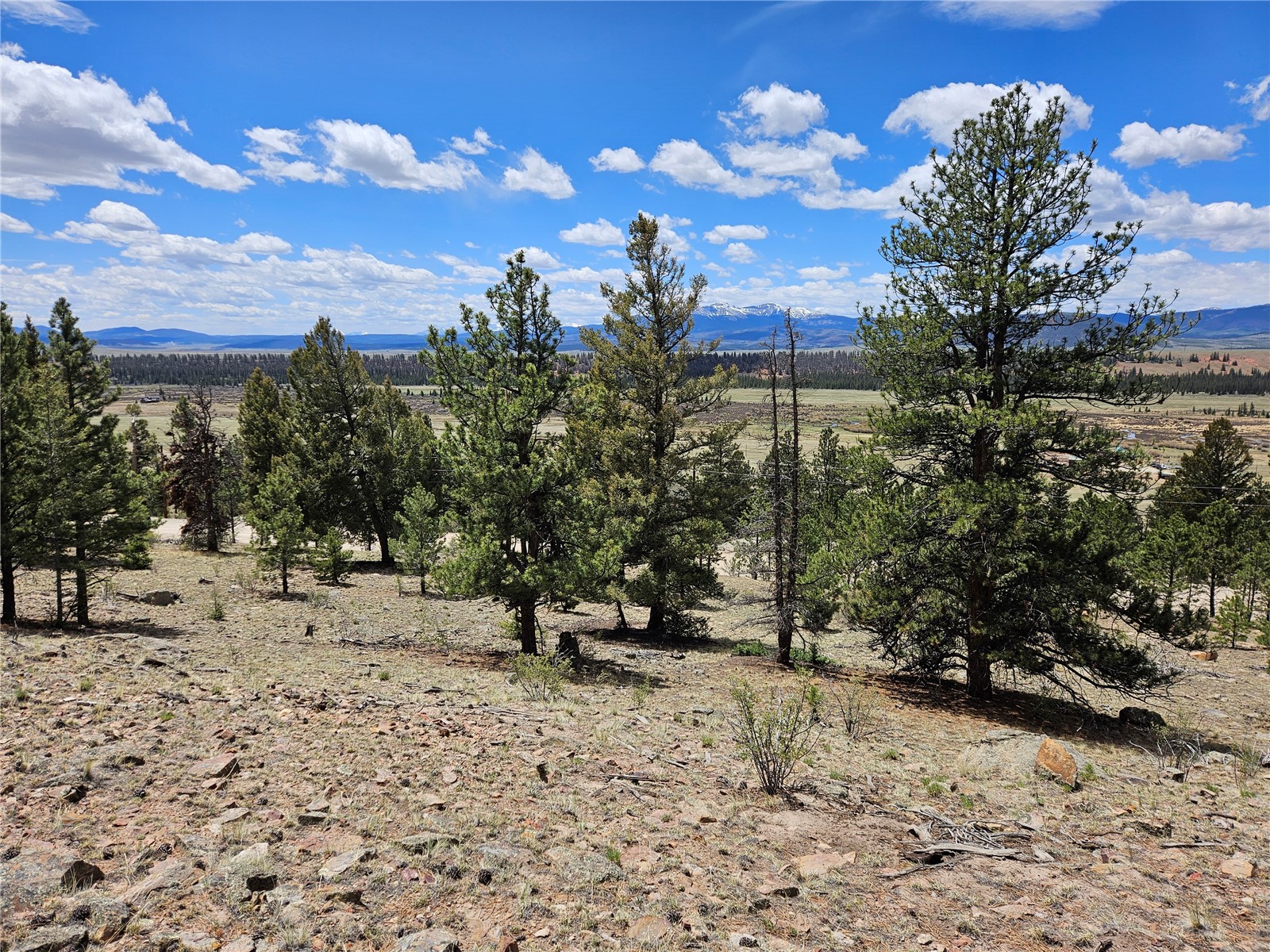 Lot 395 Bonell Drive Fairplay CO 80440