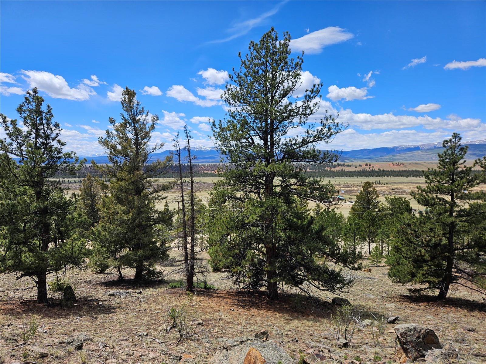 Lot 395 Bonell Drive Fairplay CO 80440
