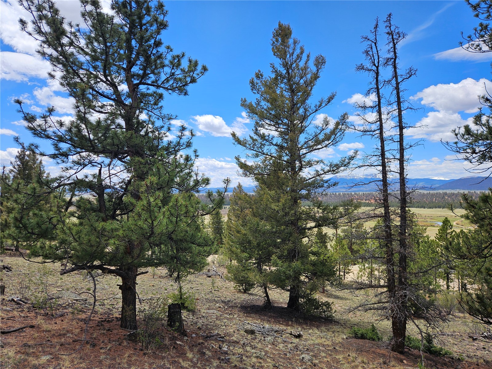 Lot 395 Bonell Drive Fairplay CO 80440