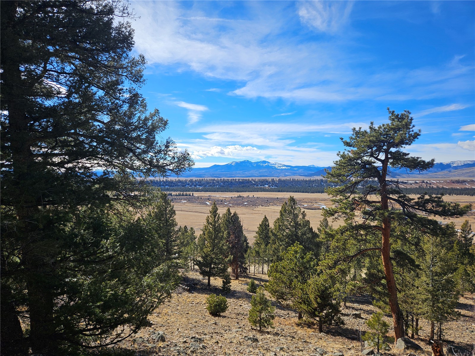 Lot 395 Bonell Drive Fairplay CO 80440