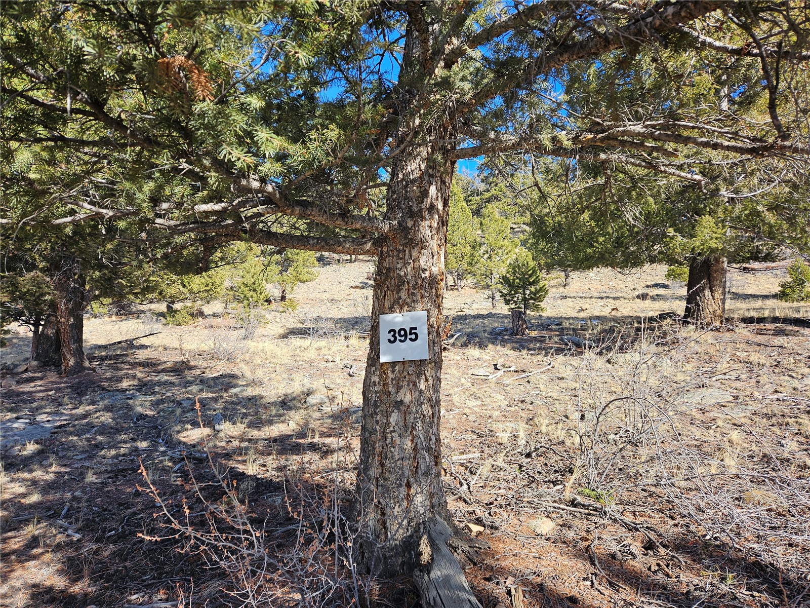 Lot 395 Bonell Drive Fairplay CO 80440