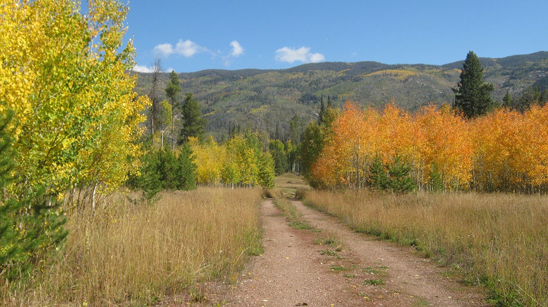 000 Springboard Trail Oak Creek CO 80467