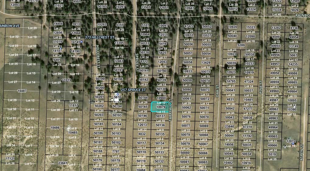 00000 Spruce Street Hartsel CO 80449