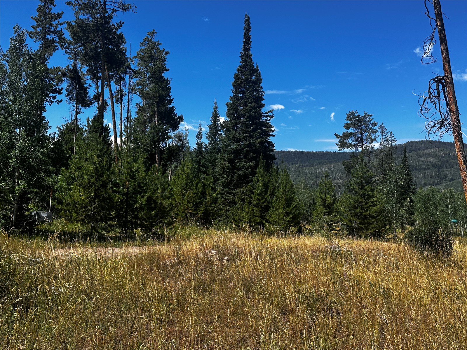 33255 Filly Trail Oak Creek CO 80467