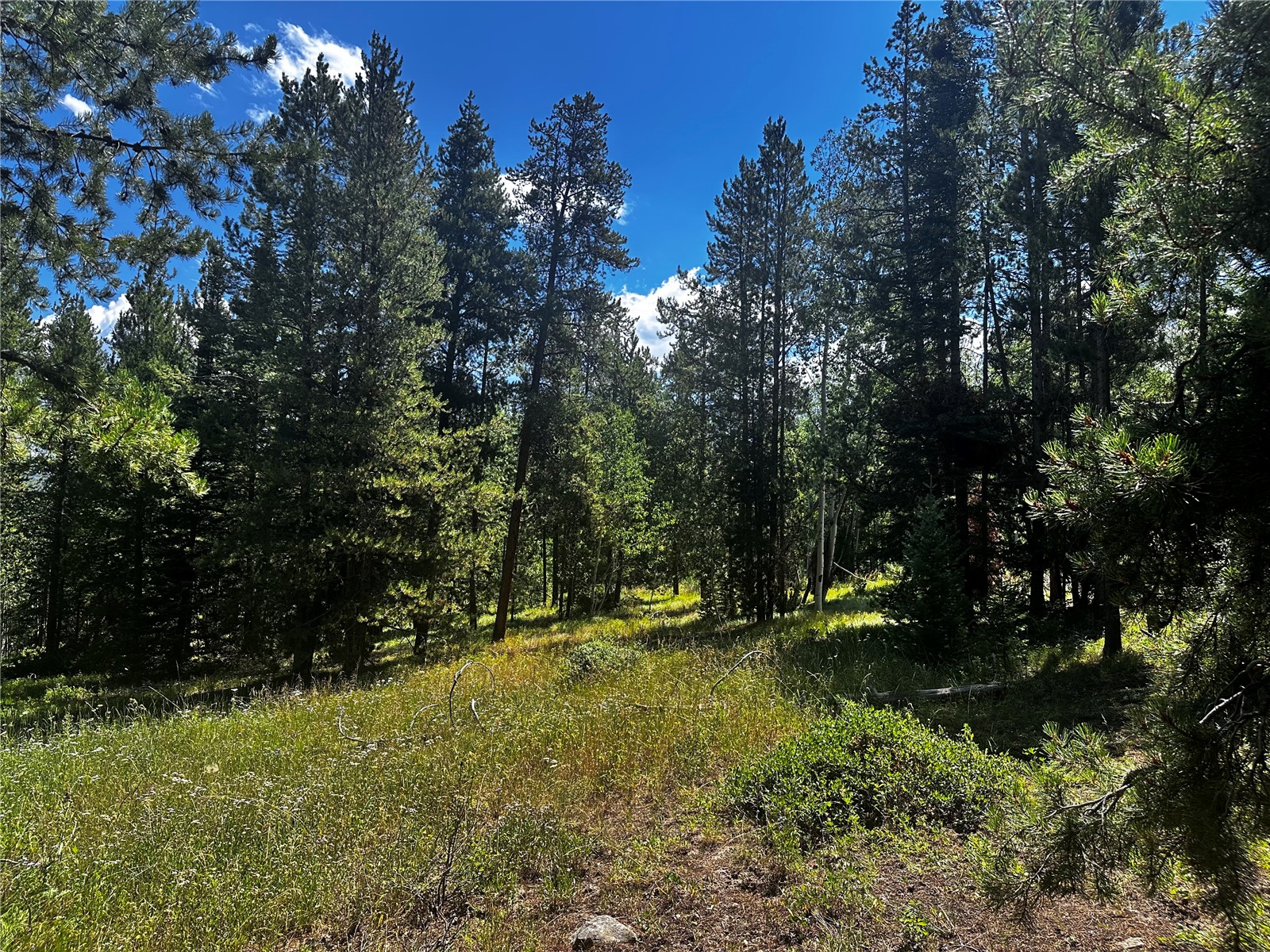 33255 Filly Trail Oak Creek CO 80467
