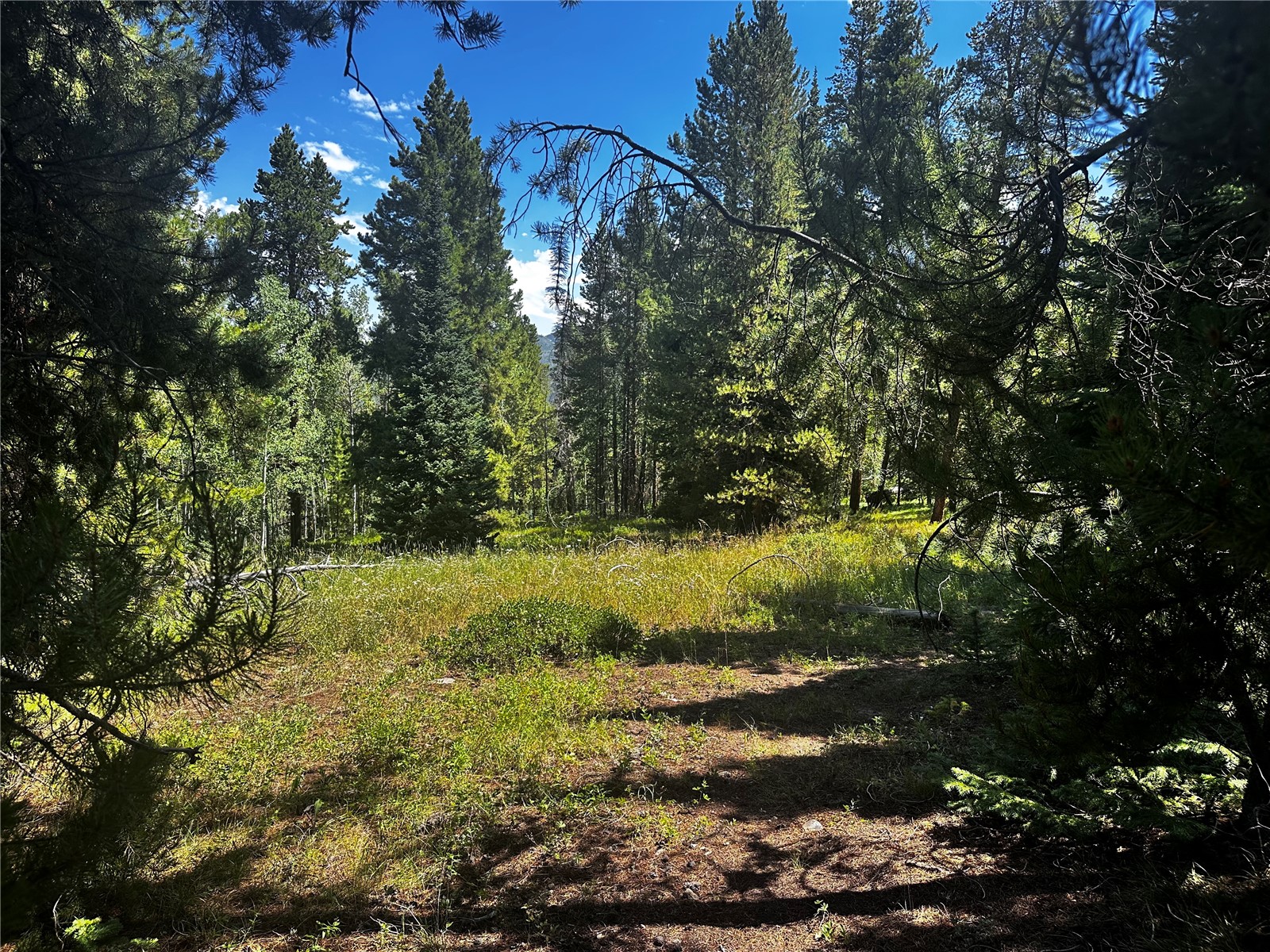 33255 Filly Trail Oak Creek CO 80467