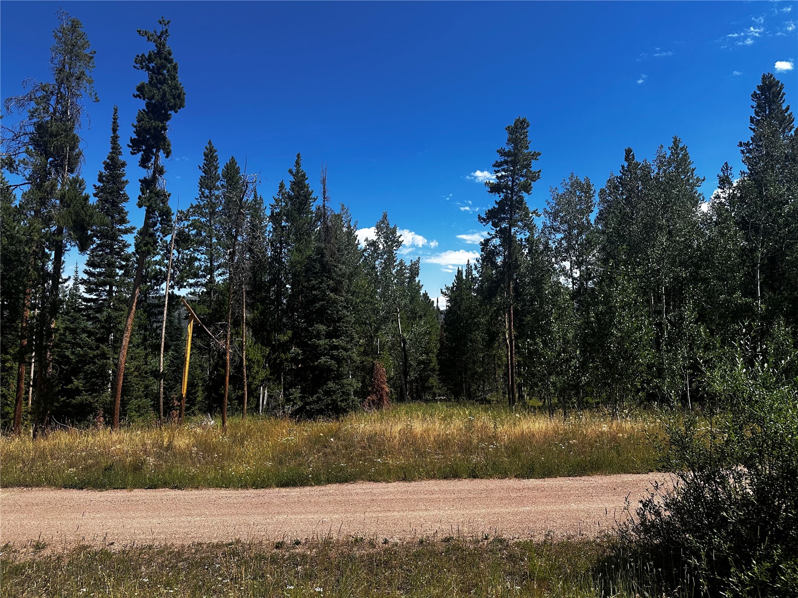 33255 Filly Trail Oak Creek CO 80467
