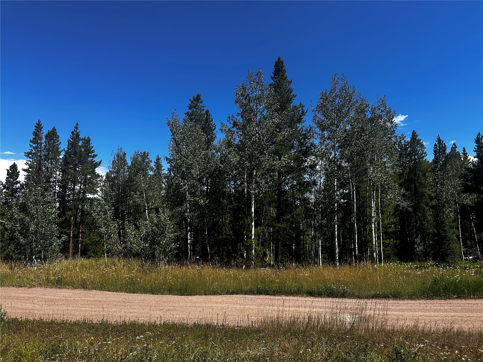 33255 Filly Trail Oak Creek CO 80467
