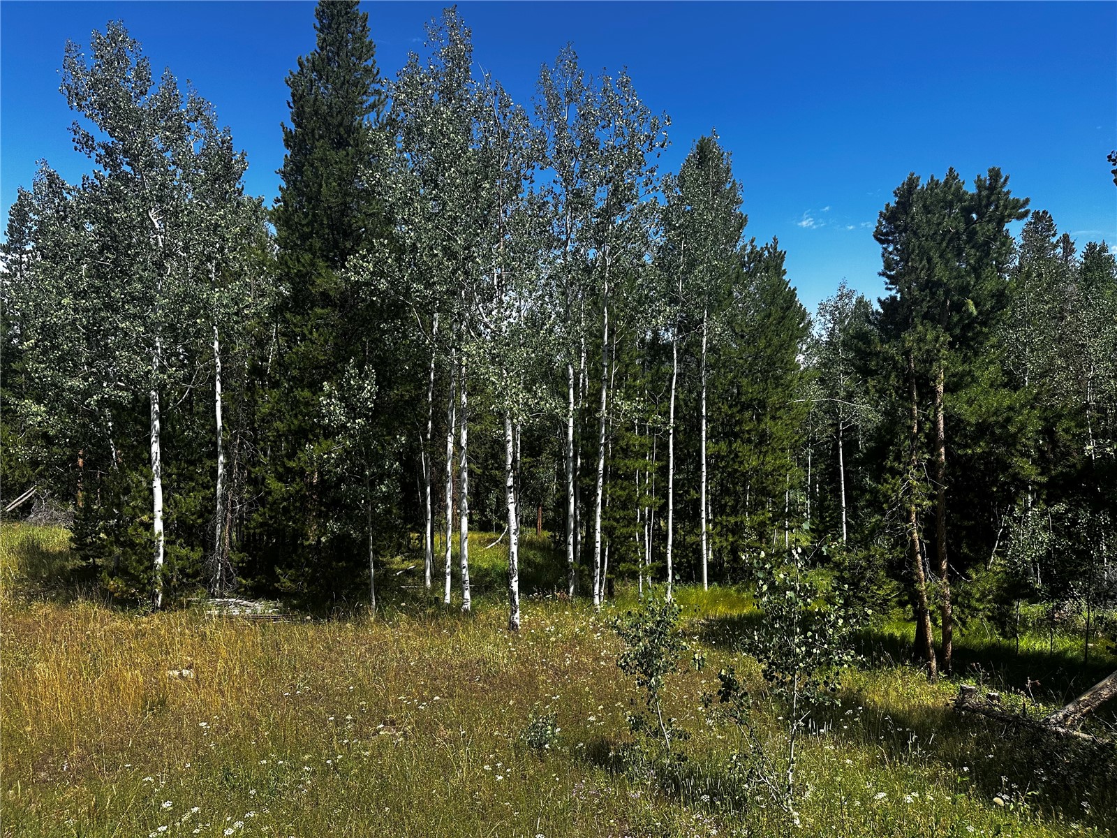 33255 Filly Trail Oak Creek CO 80467