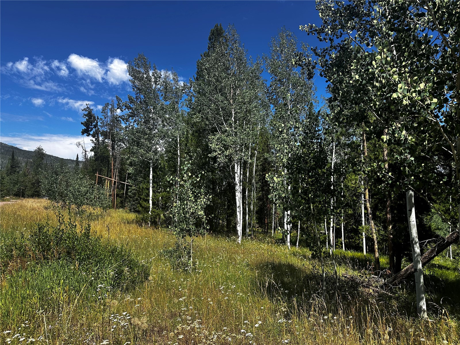 33255 Filly Trail Oak Creek CO 80467