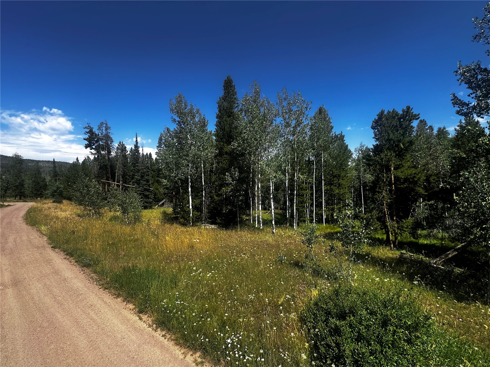 33255 Filly Trail Oak Creek CO 80467