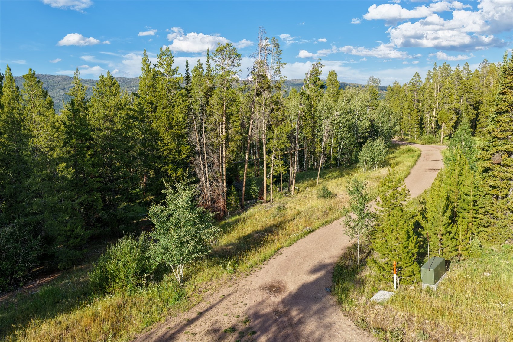 33255 Filly Trail Oak Creek CO 80467