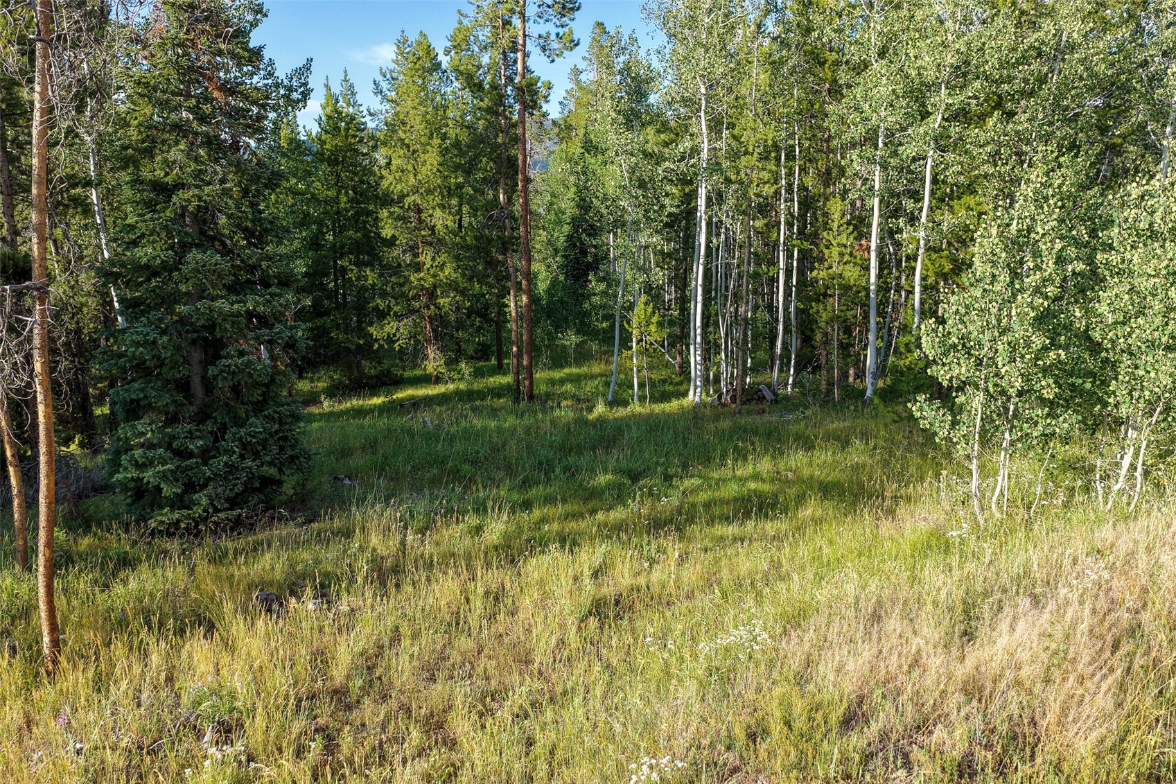 33255 Filly Trail Oak Creek CO 80467