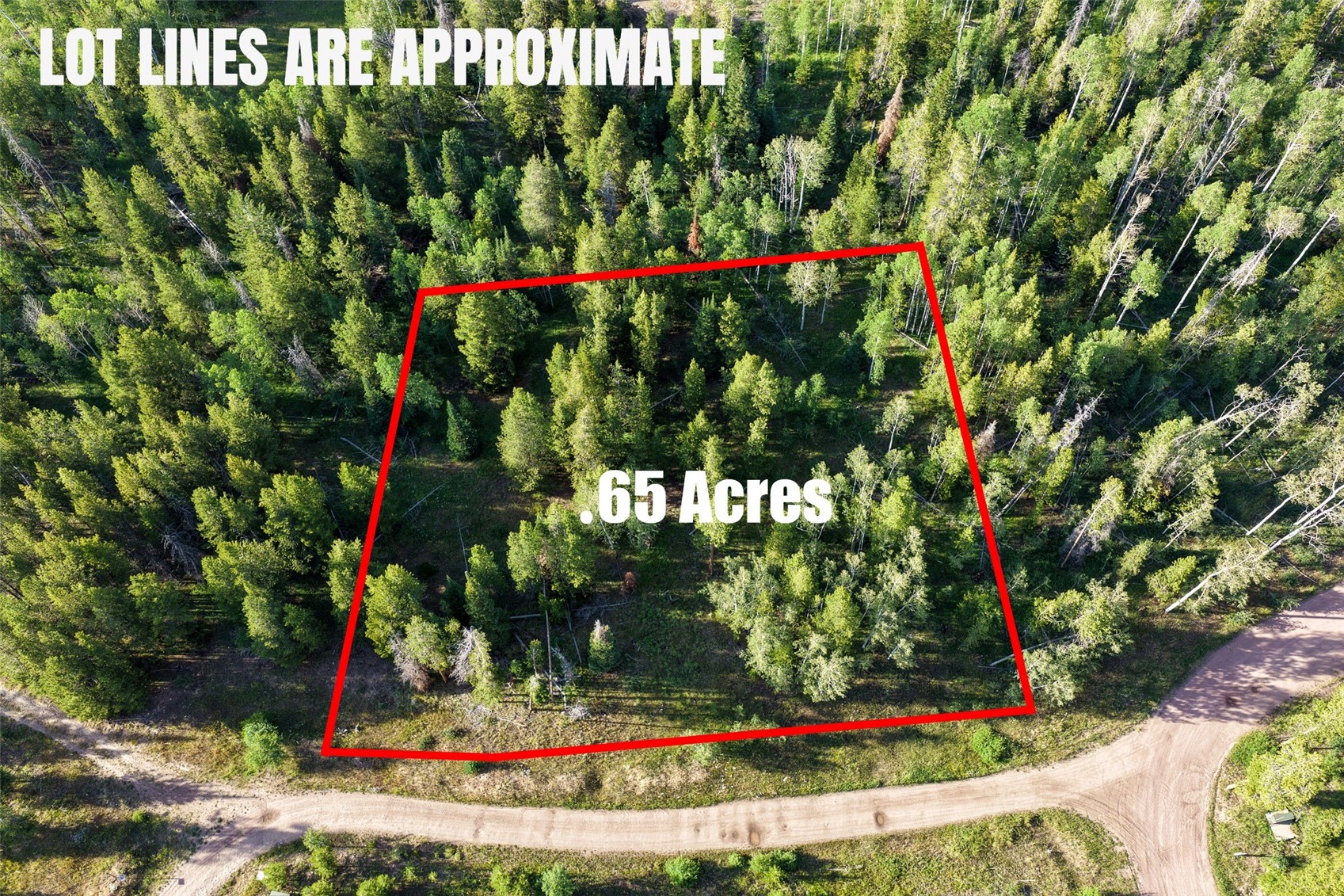 33255 Filly Trail Oak Creek CO 80467