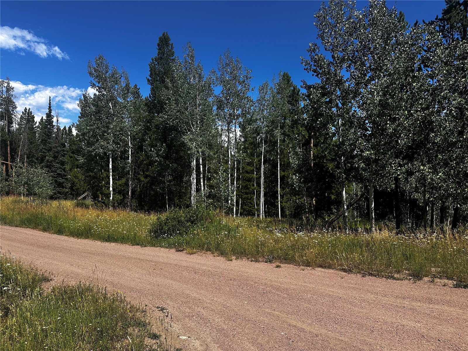 33255 Filly Trail Oak Creek CO 80467
