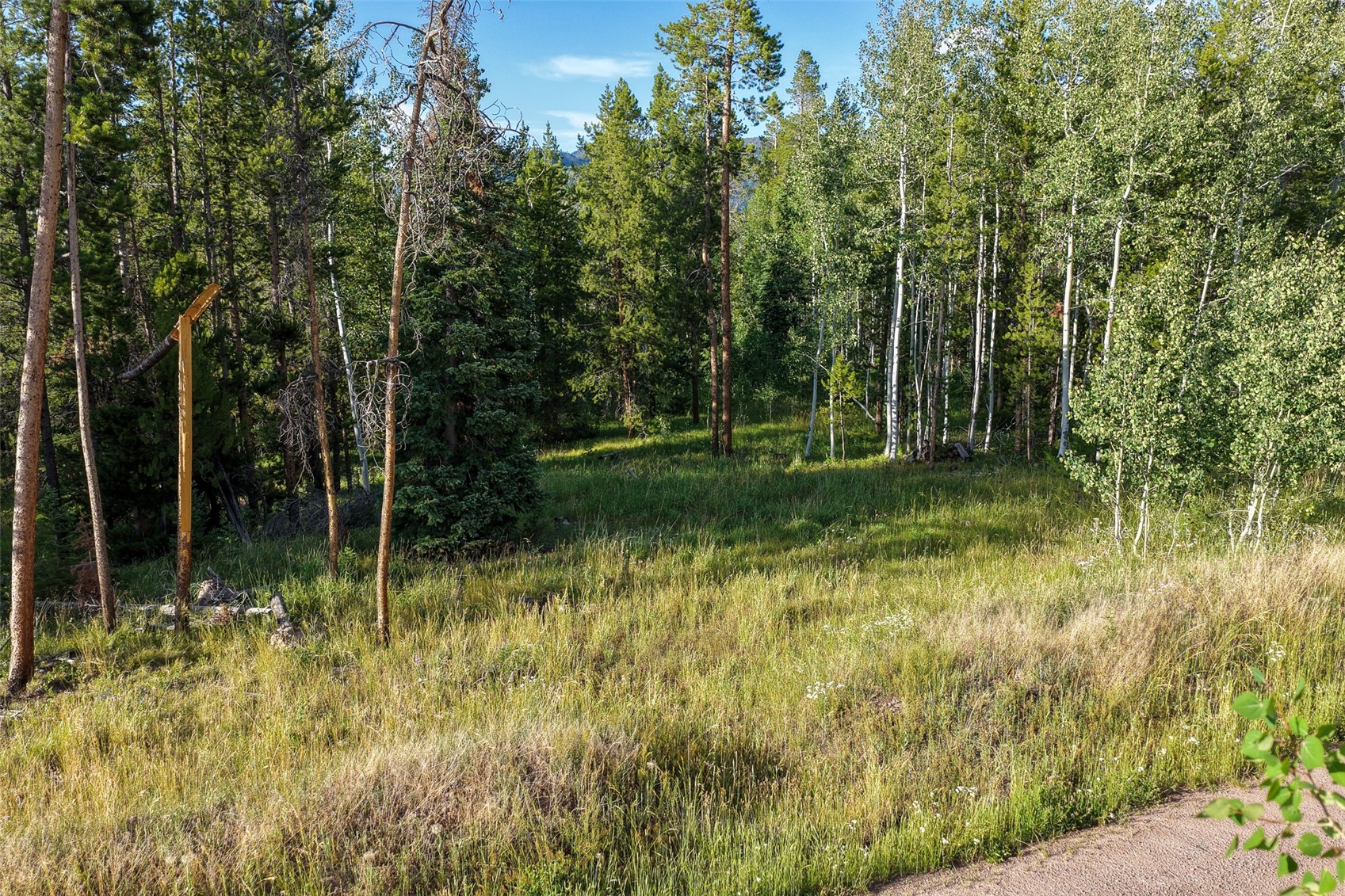 33255 Filly Trail Oak Creek CO 80467