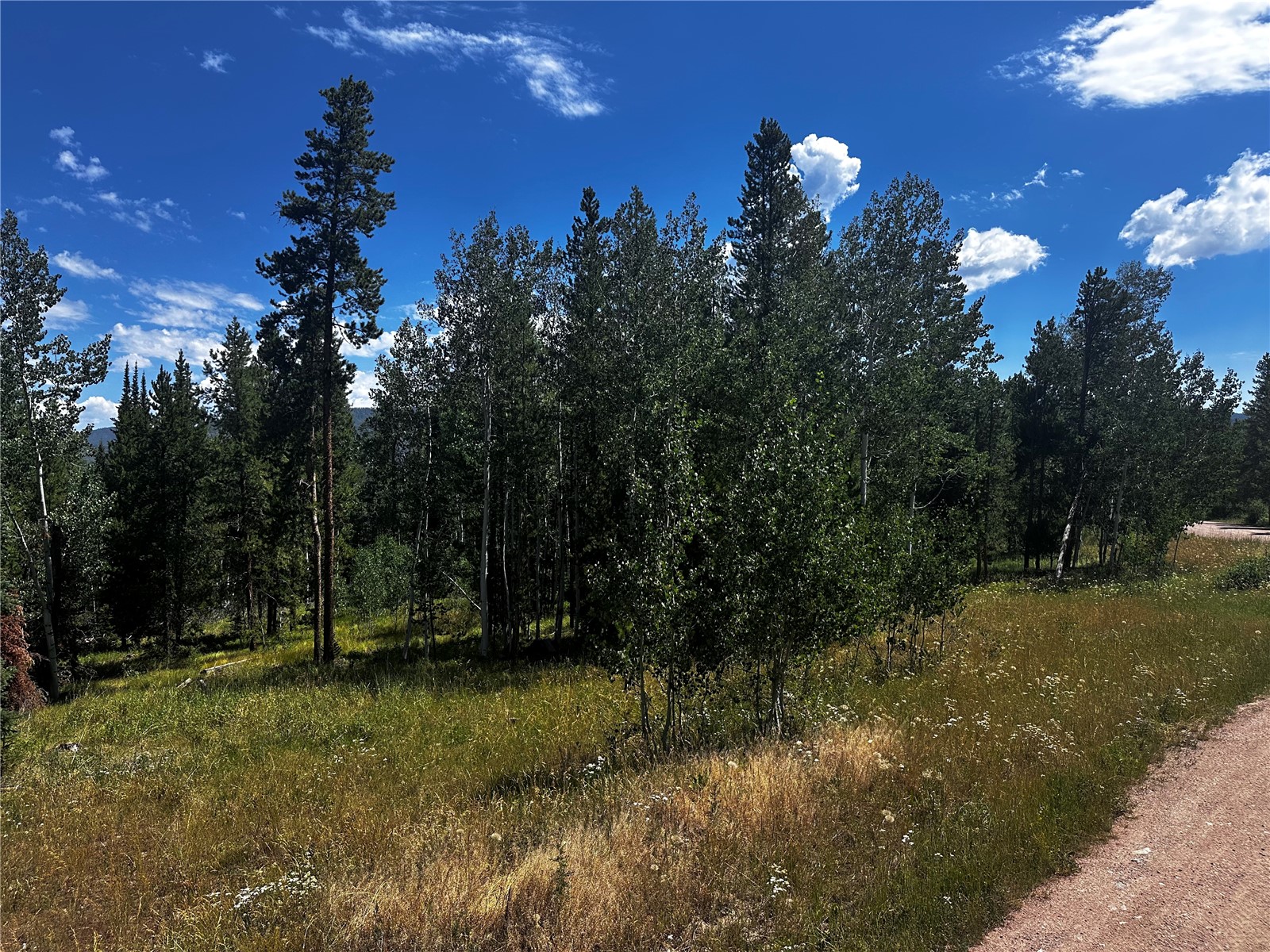 33255 Filly Trail Oak Creek CO 80467