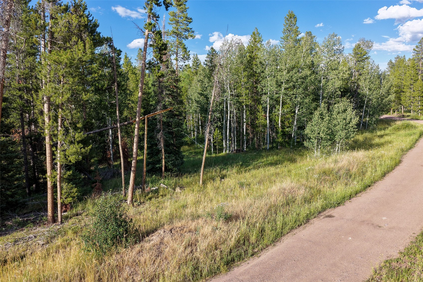 33255 Filly Trail Oak Creek CO 80467
