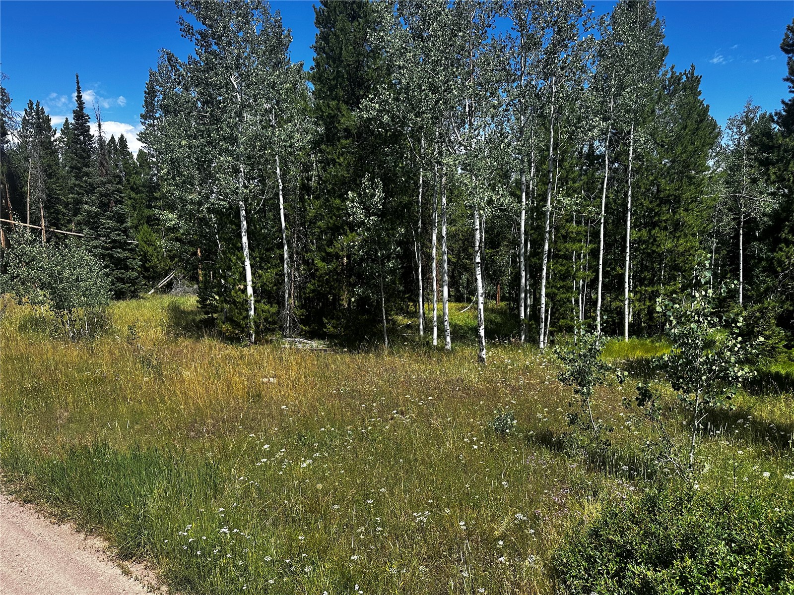 33255 Filly Trail Oak Creek CO 80467