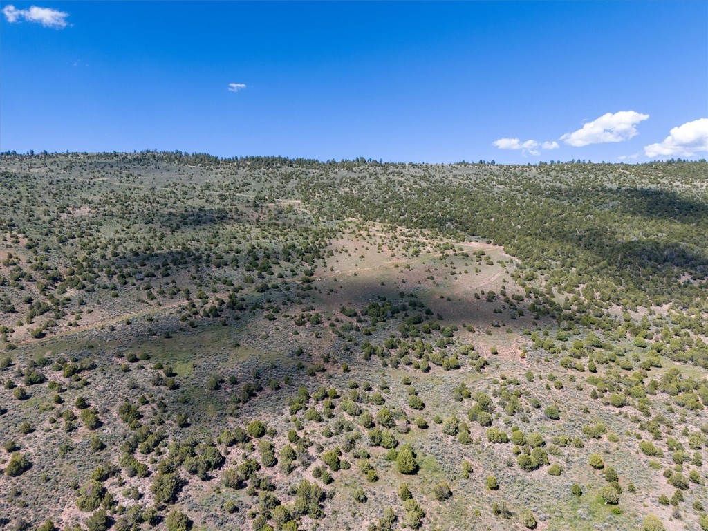 2435-2945 Co-131 Mccoy CO 80479