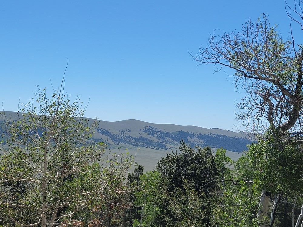 5217 Middle Fork Fairplay CO 80440