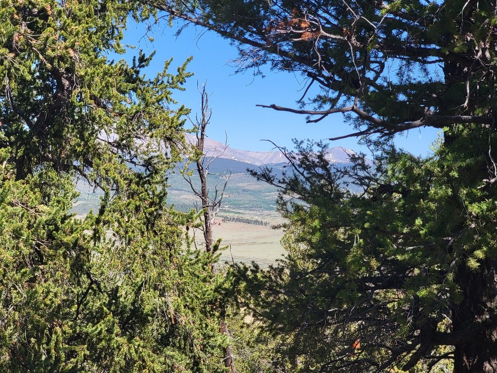 5217 Middle Fork Fairplay CO 80440