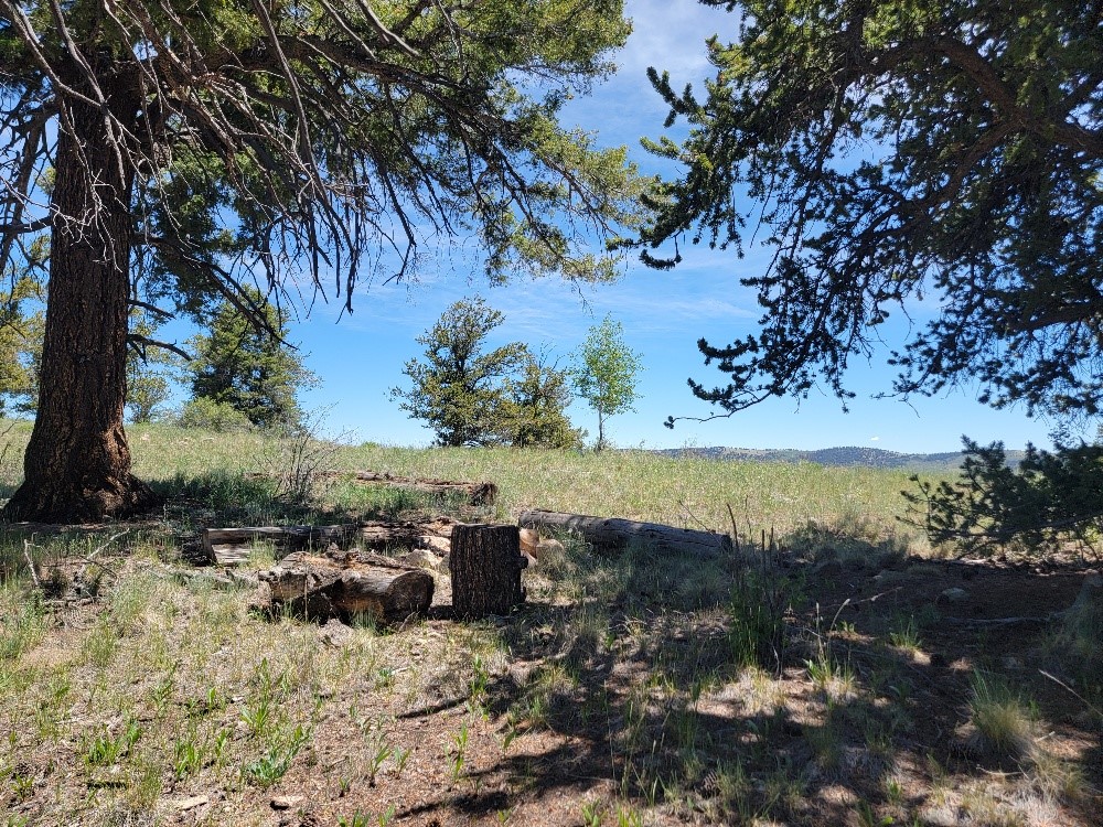5217 Middle Fork Fairplay CO 80440