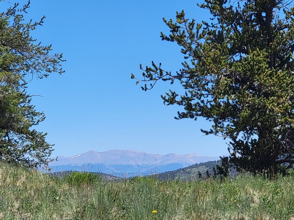5217 Middle Fork Fairplay CO 80440