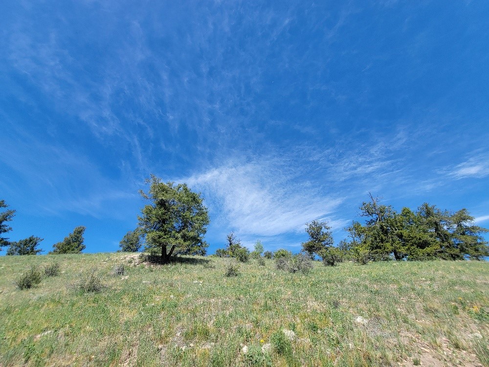 5217 Middle Fork Fairplay CO 80440