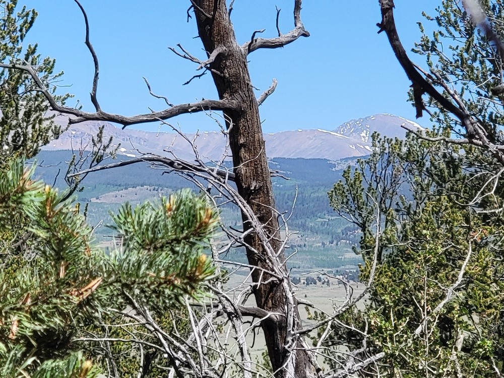 5217 Middle Fork Fairplay CO 80440