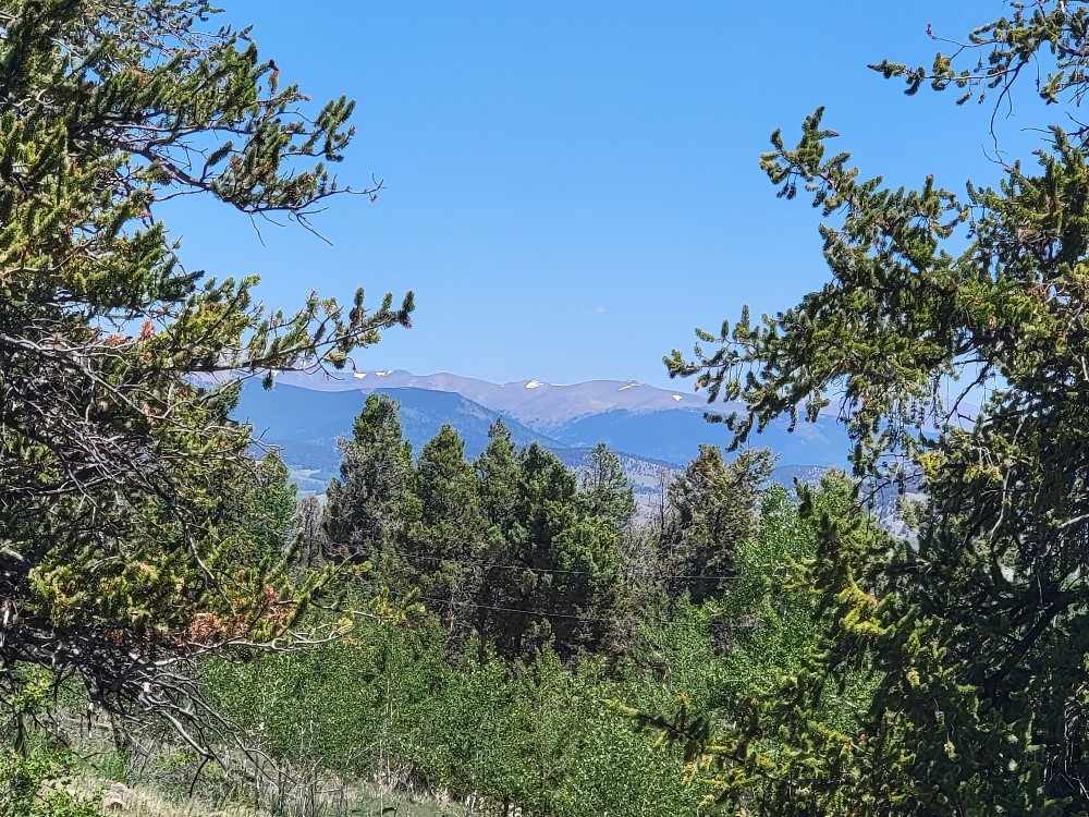 5217 Middle Fork Fairplay CO 80440