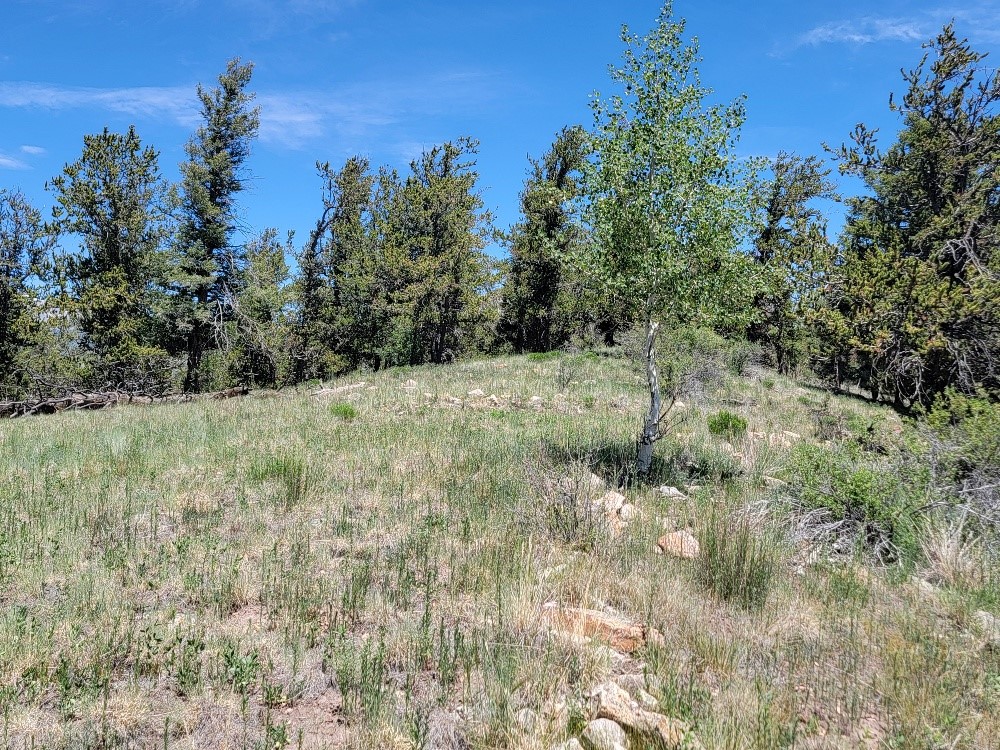 5217 Middle Fork Fairplay CO 80440