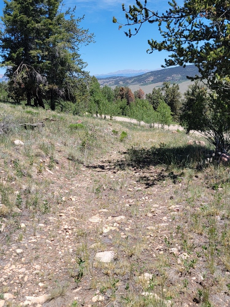 5217 Middle Fork Fairplay CO 80440